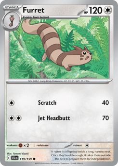 Furret