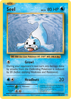Seel